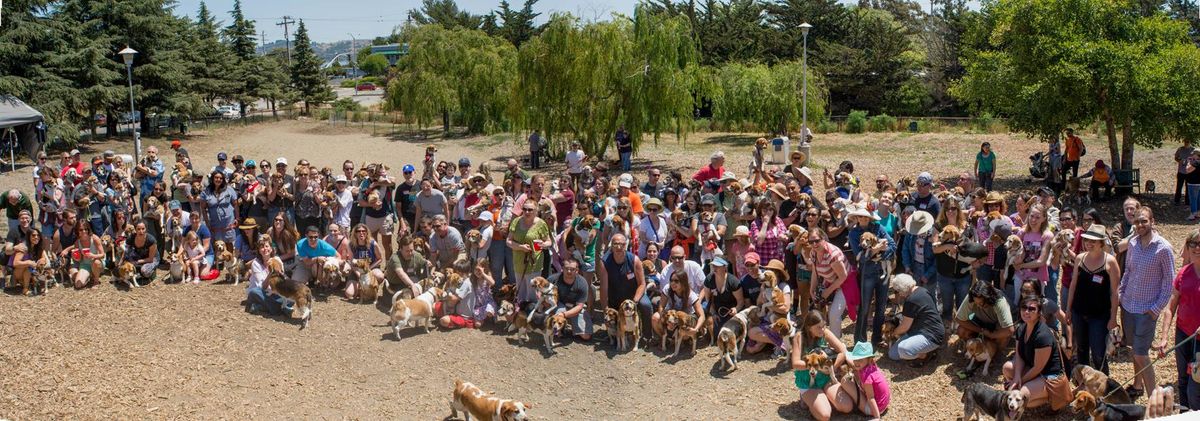 NorCal Beaglefest 2024!