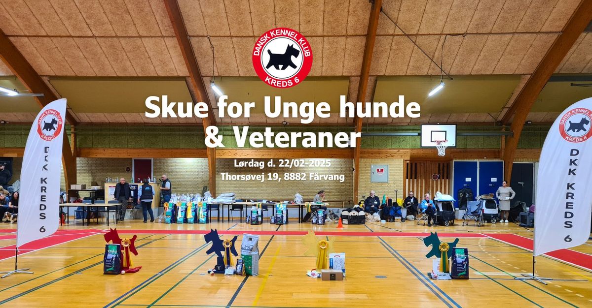 Skue for Unge Hunde og Veteraner d. 22\/02-25