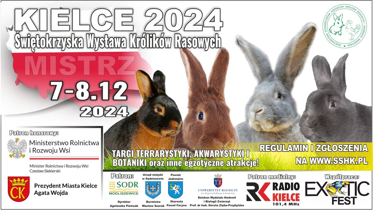 \u015awi\u0119tokrzyska Wystawa Kr\u00f3lik\u00f3w Rasowych Kielce 2024