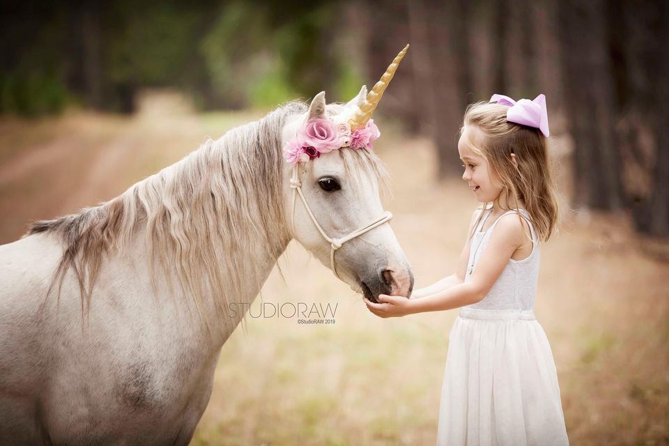 Magical Unicorn Photo Sessions
