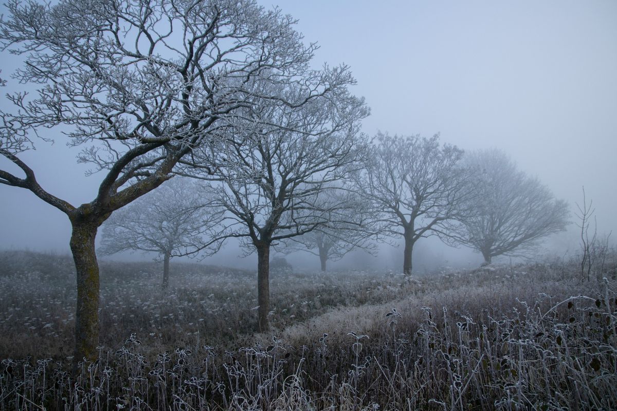 Post-Christmas gentle stroll