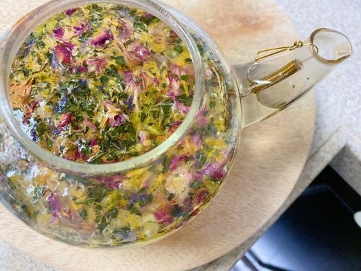 オンライン植物教室 季節の植物療法講座 春 ハーブ編 Online 4 February 21 オンライン植物教室 季節の植物療法講座 春 ハーブ編 Online 4 February 21