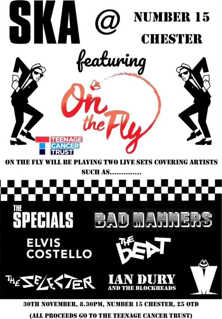 Ska charity  night on the fly 