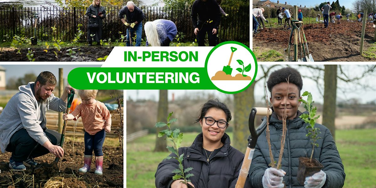 Bulb Planting Day: Alfred Rose Memorial Park, Aylesbury