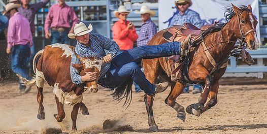 2021 Mareeba Rodeo!