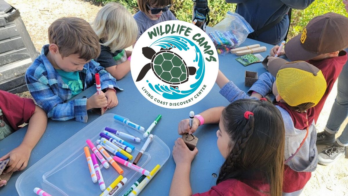Summer Wildlife Day Camps: Week 1