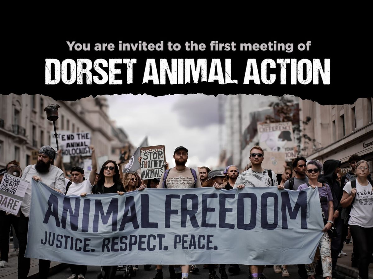 Dorset Animal Action Meeting #1