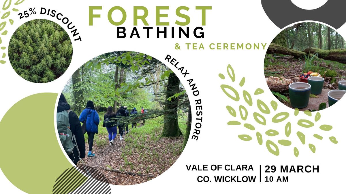 Forest Bathing & Tea Ceremony