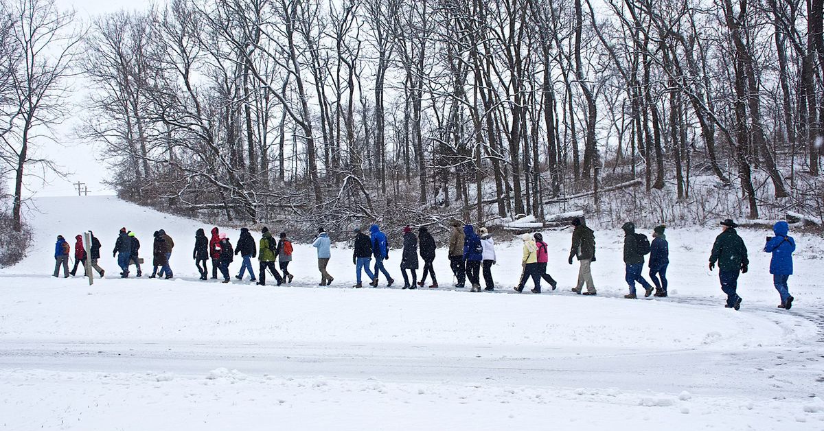 Winter Hike Series - Sharon Woods