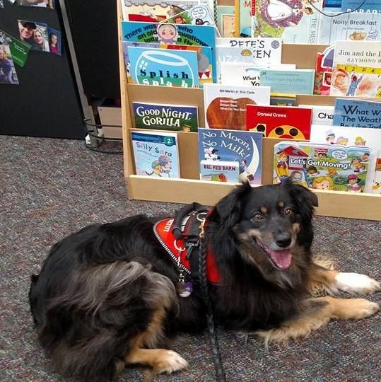 Therapy Dog Class
