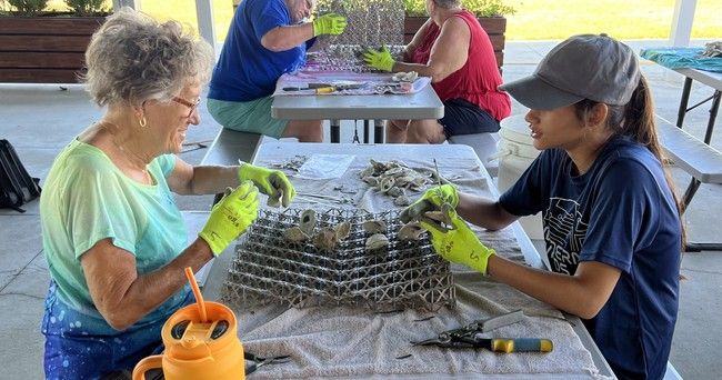 BESE Oyster Mat Workshop