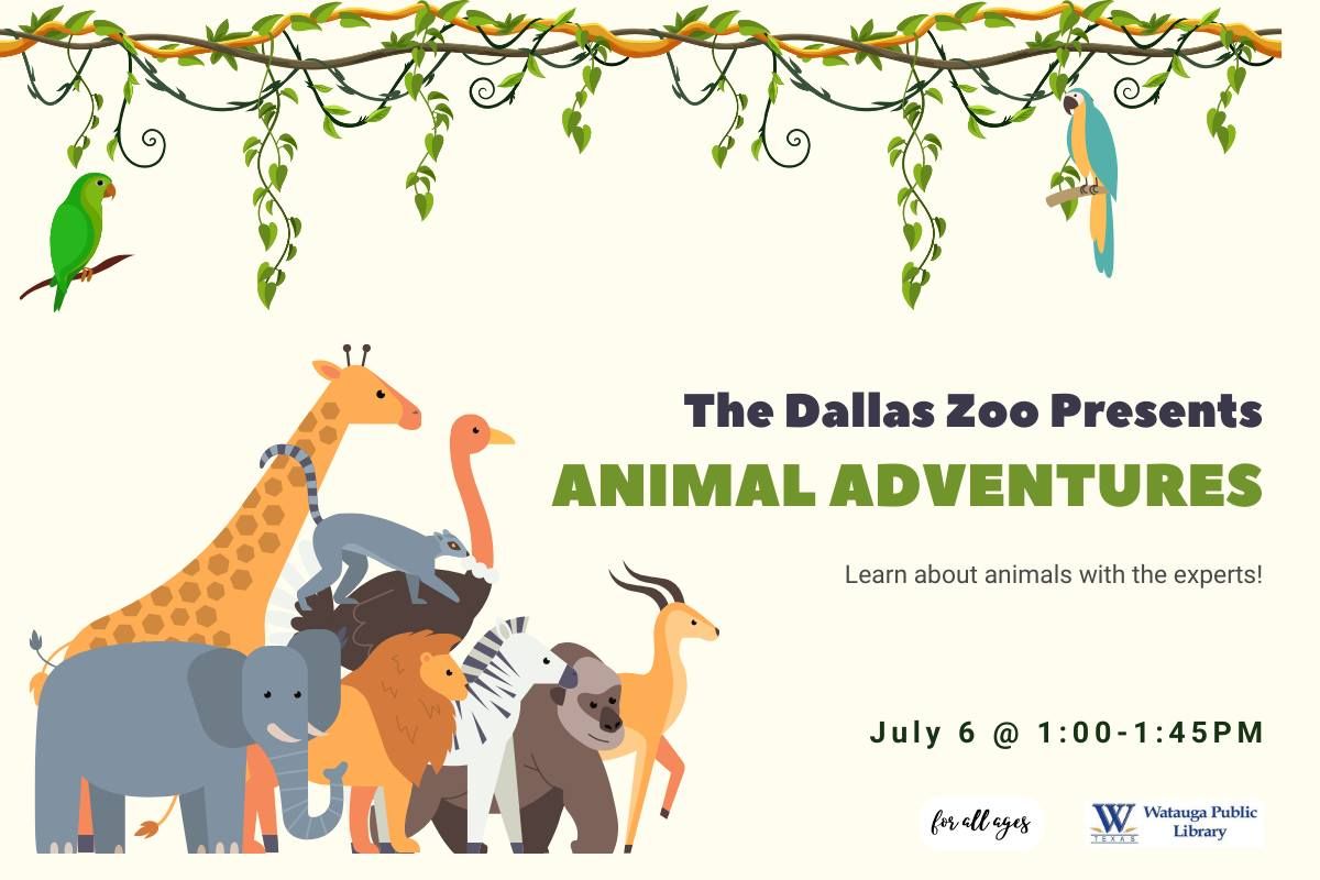 Dallas Zoo Presents: Animal Adventures