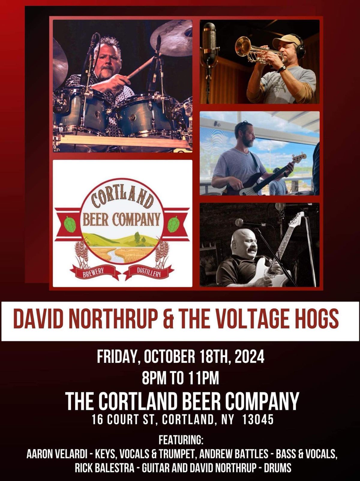 David Northrup & The Voltage Hogs Live