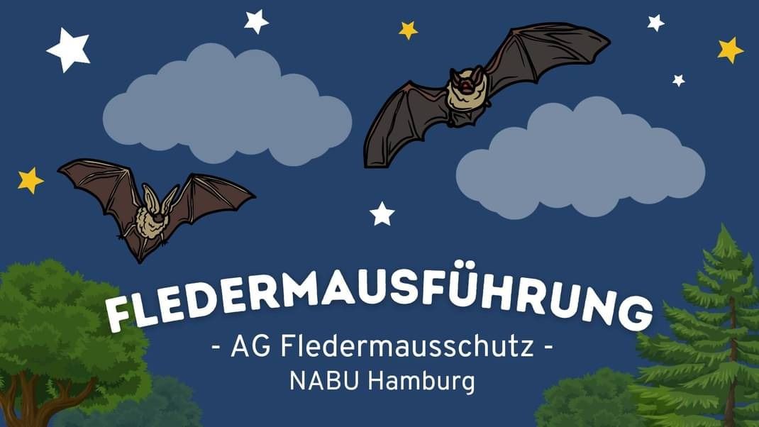 Fledermausf\u00fchrung am Kupferteich