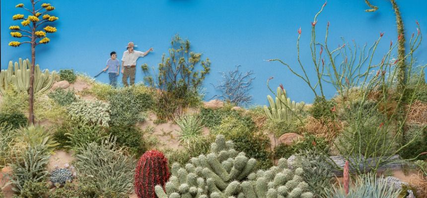 School Holidays: Desert Jungle Collage - Newcastle City Library