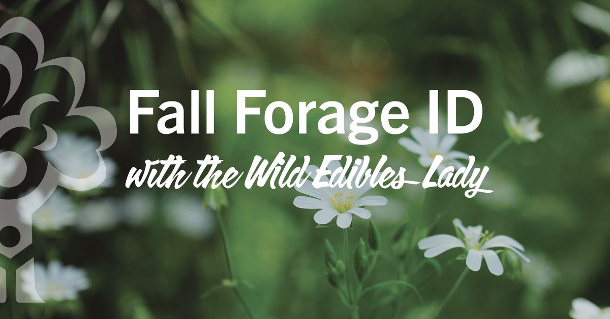 Fall Forage ID with the Wild Edibles Lady