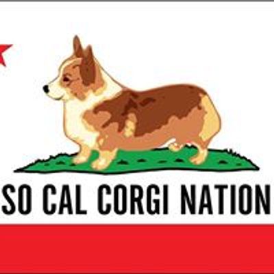 So Cal Corgi Beach Day