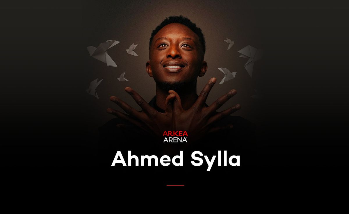 Ahmed Sylla - Origami