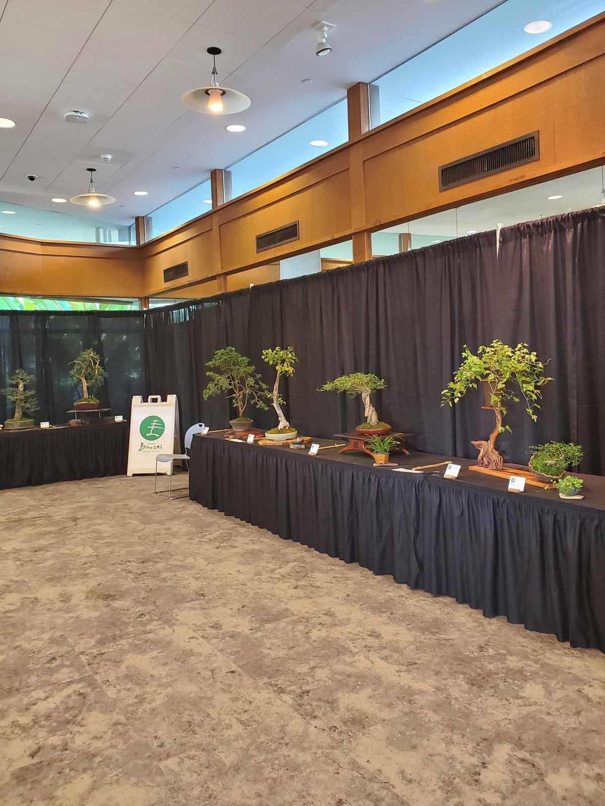 Iowa Bonsai Associations Fall Show