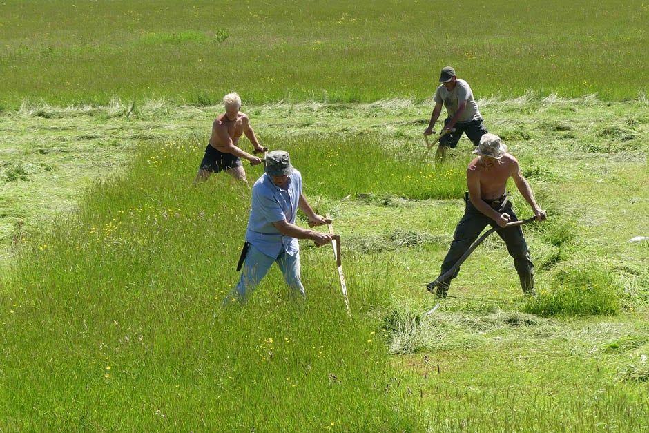 Introduction to Scything