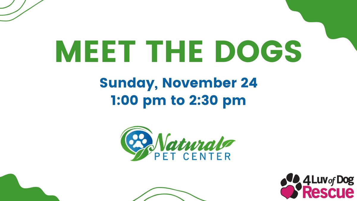 Meet the Dogs at Natural Pet Center 