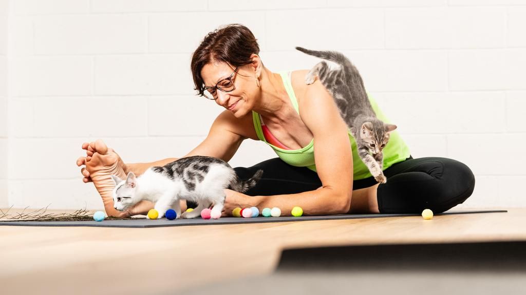 Fundraiser - Cat Yoga January 2025