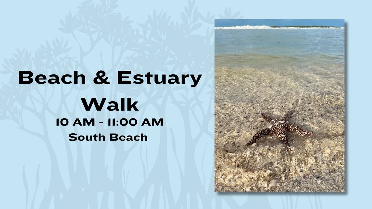 Beach and Estuary Walk