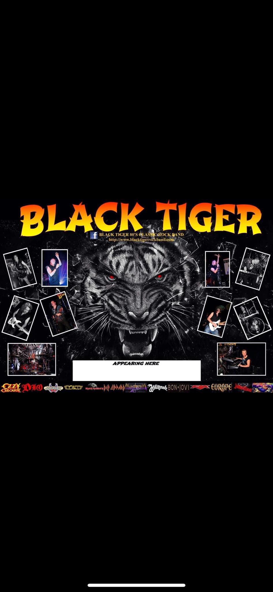 BLACK TIGER'S RETURN DEBUT GIG!  LIVE @ THE HALFWAY HOUSE !