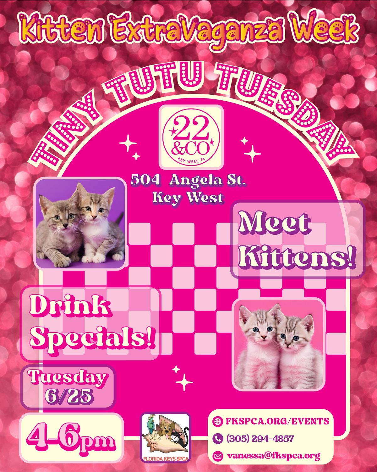 Kitten Extravaganza Week Presents: Tiny Tutu Tuesday 