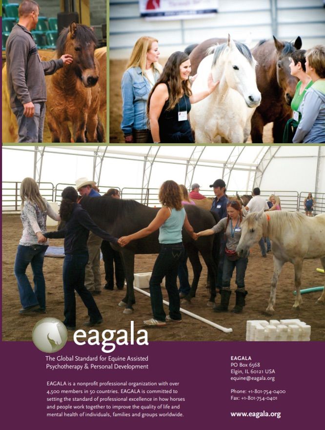 EAGALA Fundamentals Training