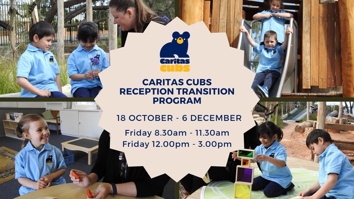 Caritas Cubs Reception Transition Program T4