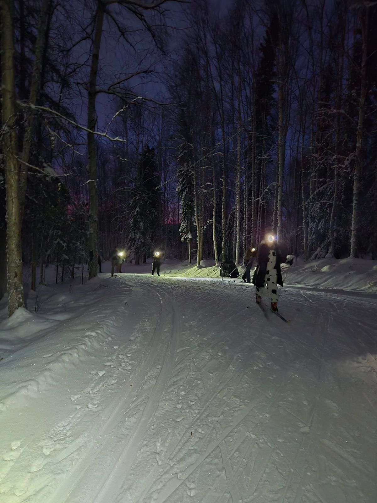 Birch Hill XC Ski Meetup