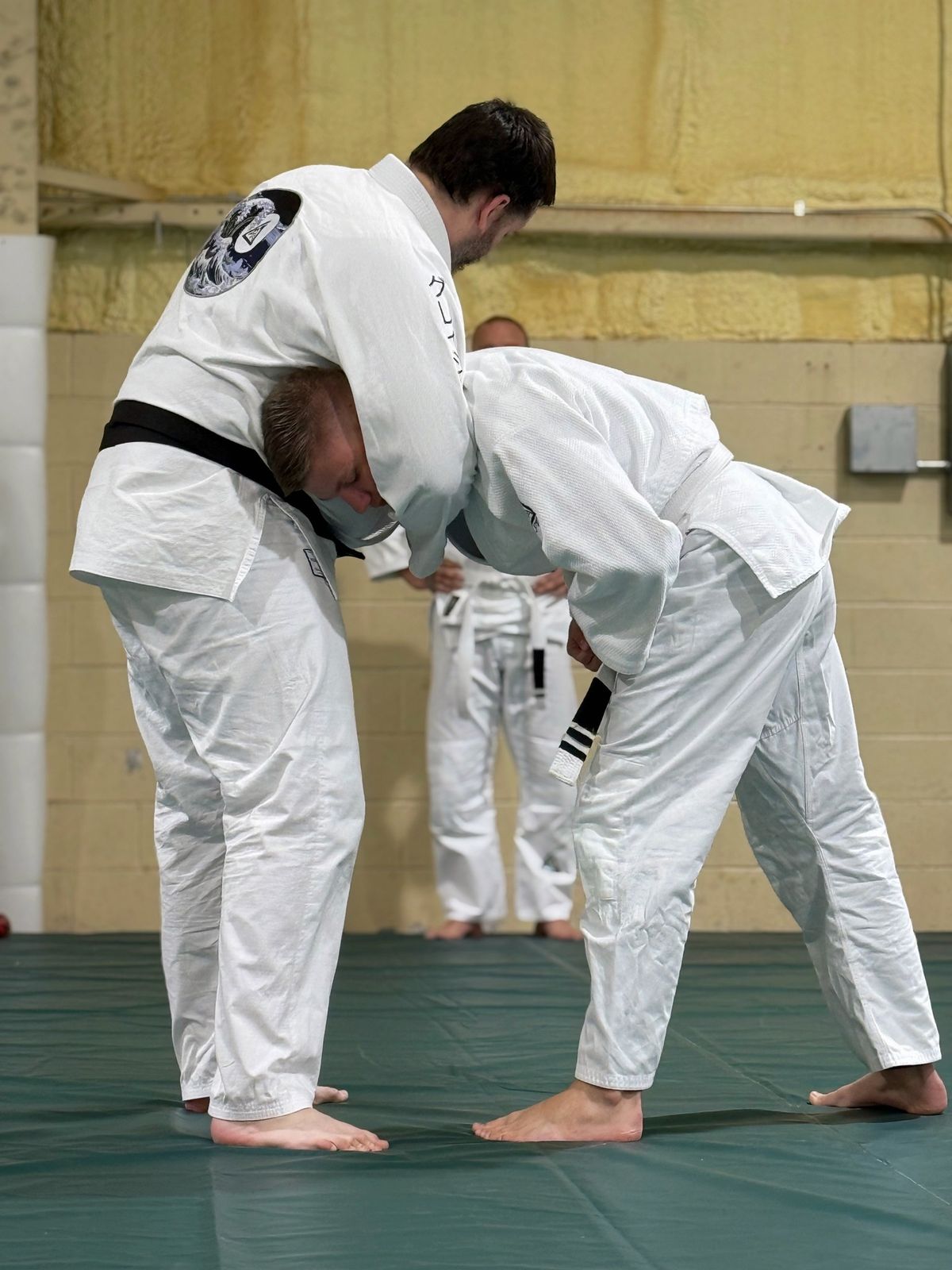 FREE: Gracie Jiu-jitsu 101