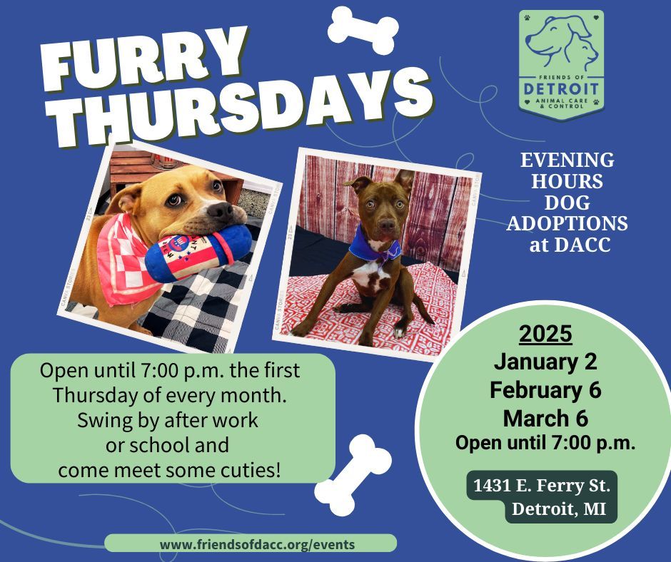 Furry Thursday - Evening Hours Adoption Event