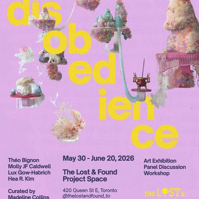 material disobedience