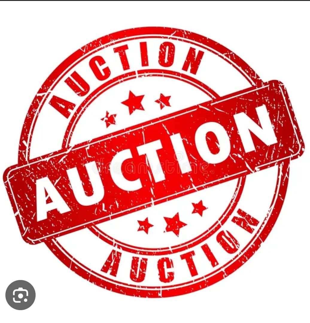 Anual Auction 