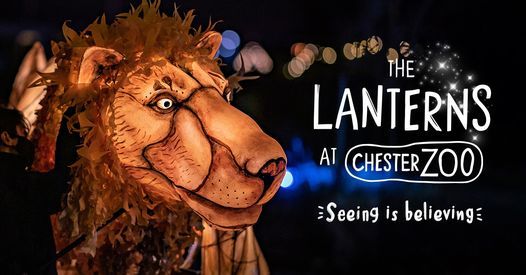 Lanterns - Call of the Wild
