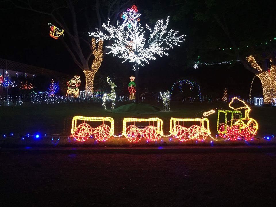 Christmas Avenue of Trees