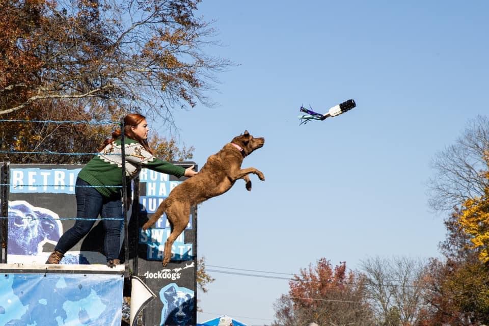 Delmarva DockDogs at the 53rd Annual Easton Waterfowl Festival 