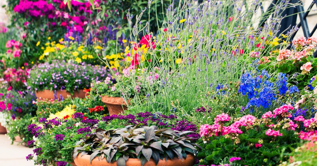 Container Garden Know-How