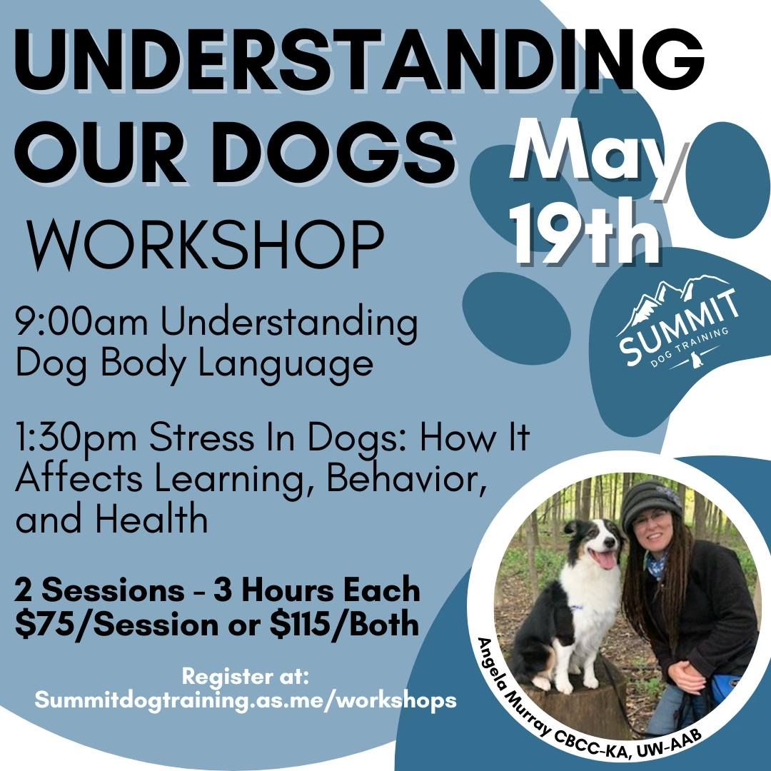 Understanding Our Dogs Workshop