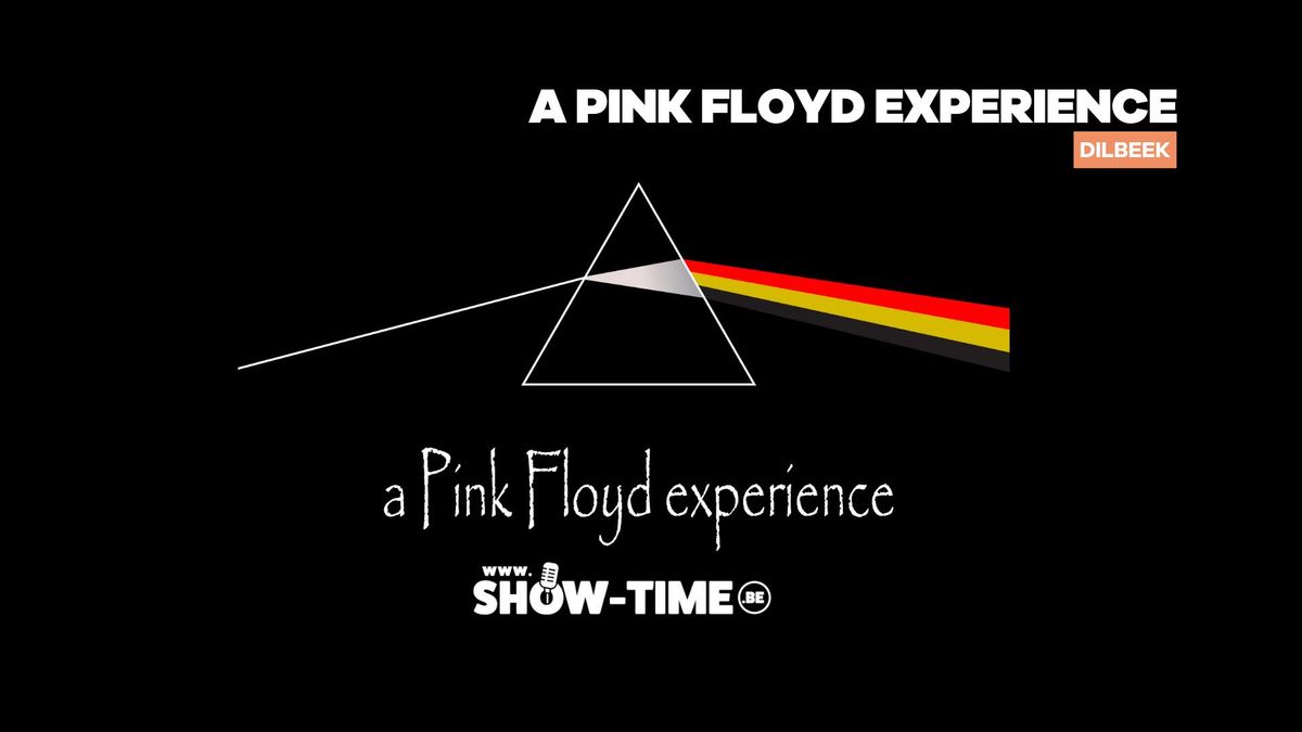 a Pink Floyd experience (tribute) - Dilbeek