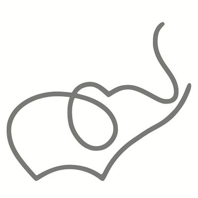 Elephant Therapy and Training