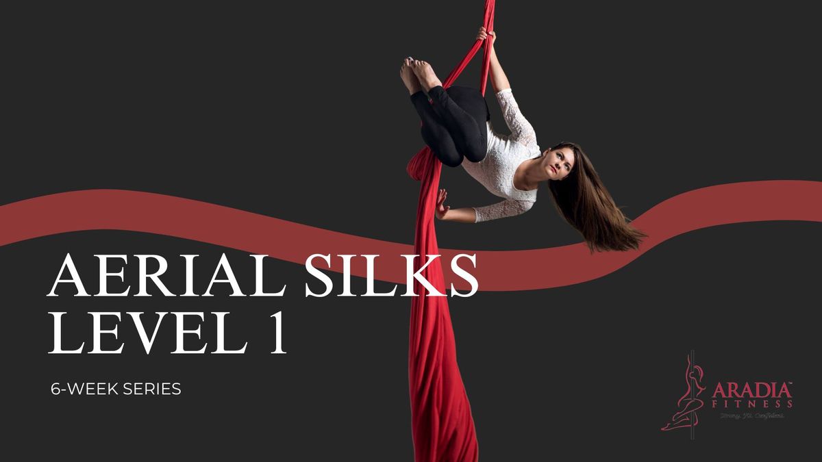 Aerial Silks Level 1 6-week Session