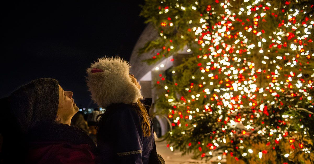 \ud83c\udf84 Museum\u2019s Tree Lighting Ceremony 