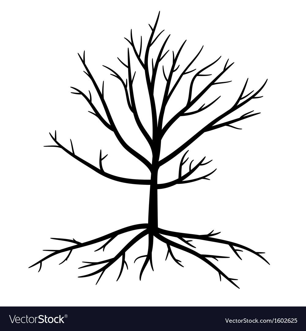 Black Roots and Branches