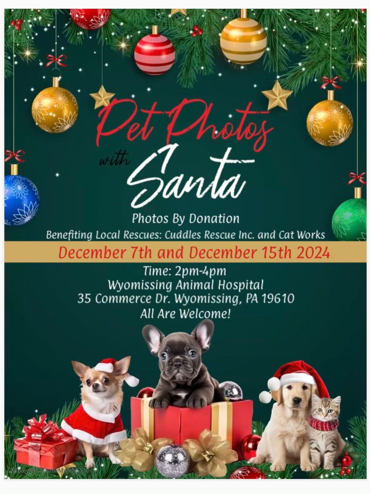 Pet photos with Santa 