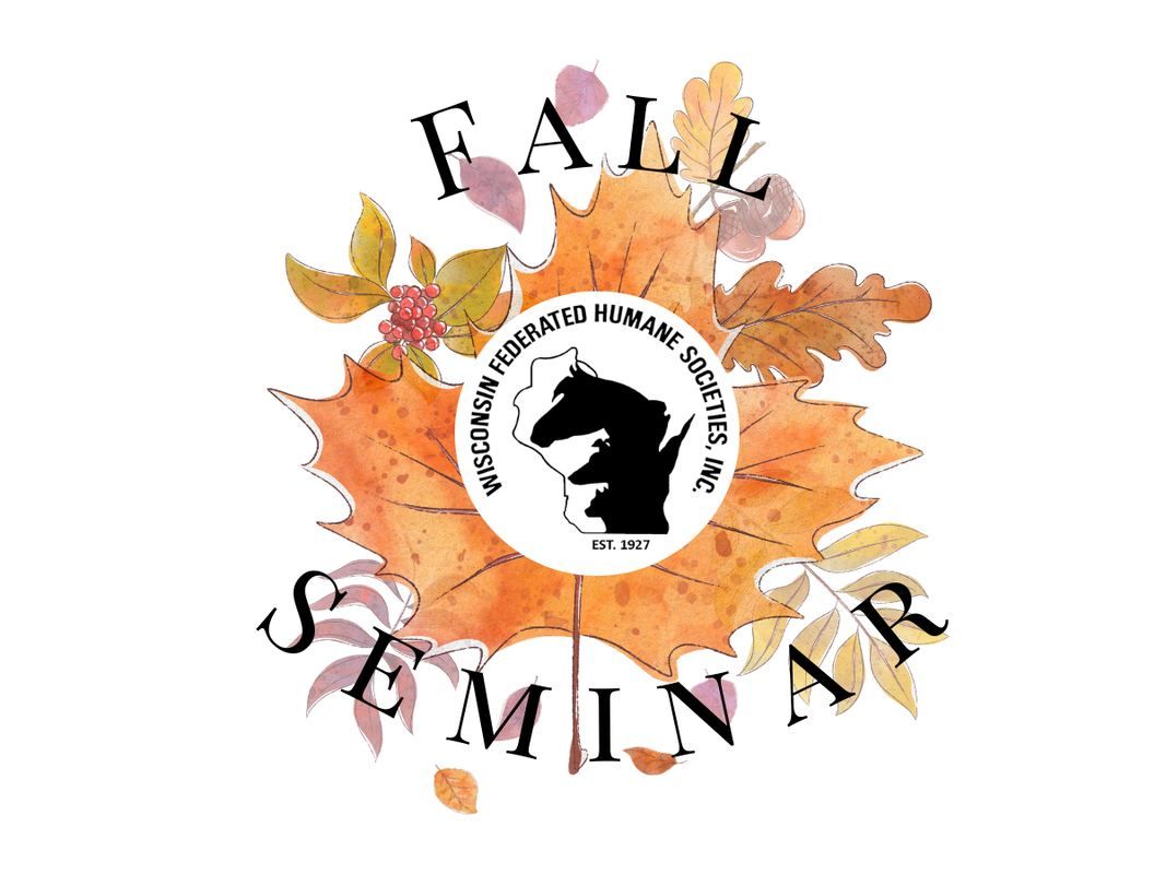 2024 Fall Seminar