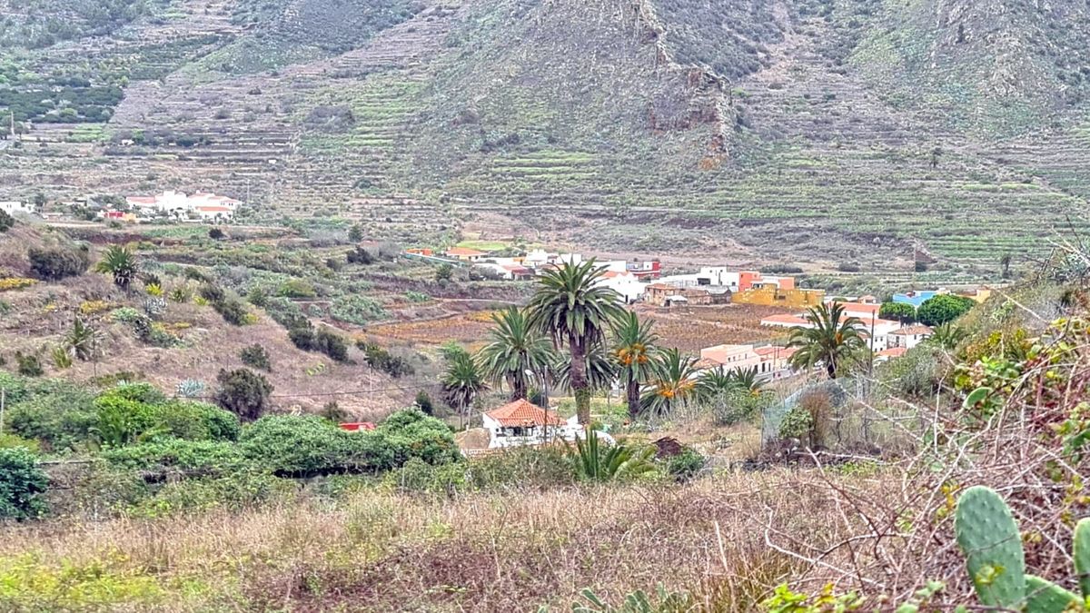 CIRCULAR DE EL PALMAR: TENO 