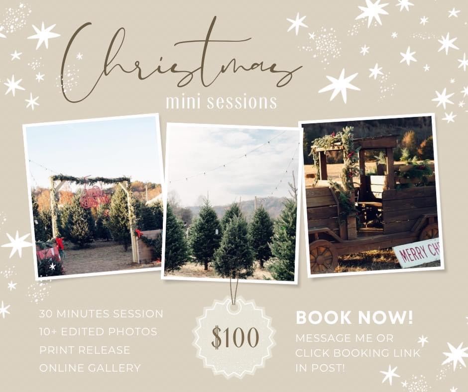 Get your Christmas Cards Ready Mini Sessions